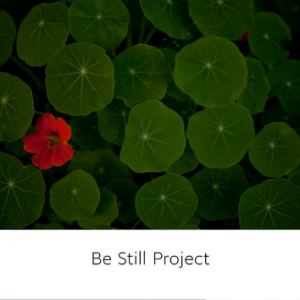 Be Still Project - A photographic journey